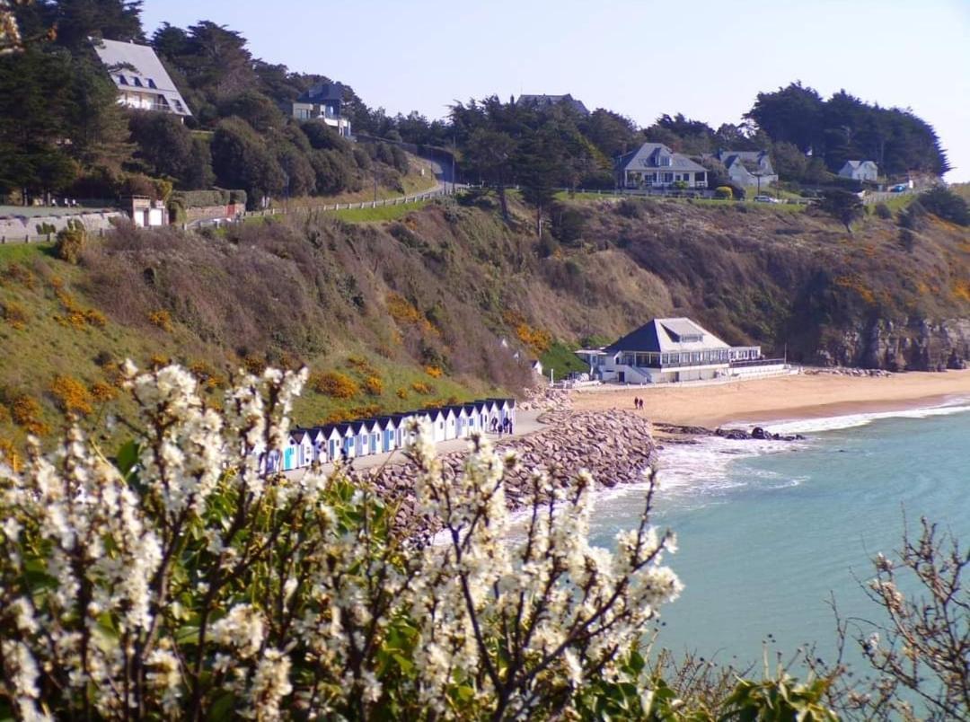 Maison Des Reves A 700M De La Mer Villa Barneville-Carteret Luaran gambar